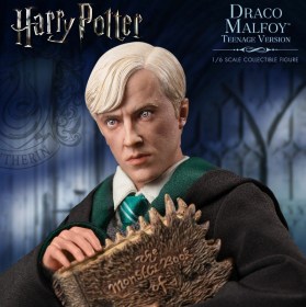 Draco Malfoy Teenager Deluxe Version Harry Potter 1/6 Action Figure by Star Ace Toys